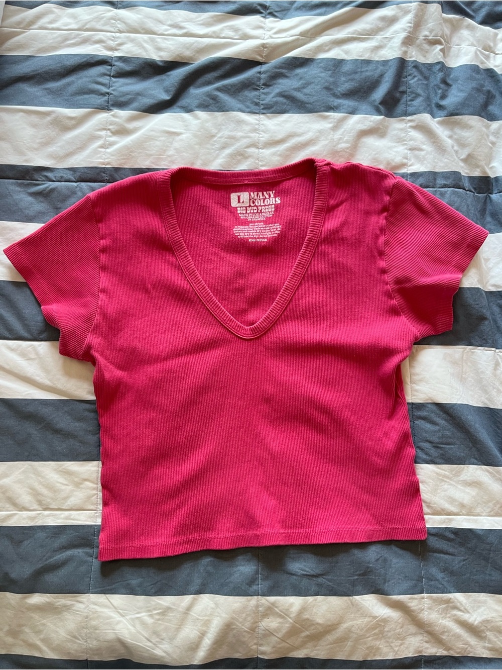 Big Bud Press Hot Pink Ribbed V-Neck Crop Top
